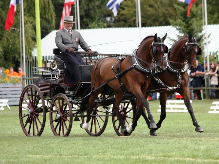 Hippoevent - Open House 2018 @ Van der Wiel Harness